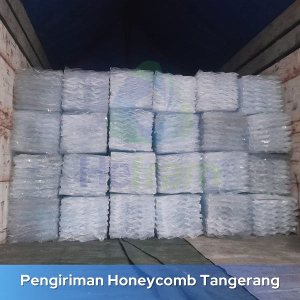 harga media sarang tawon