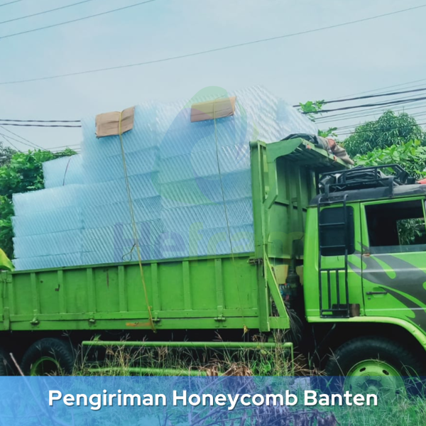 harga media sarang tawon ipal