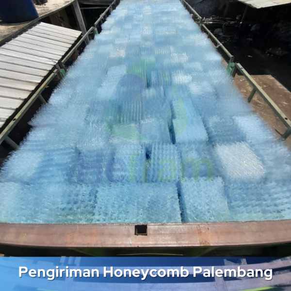 harga sarang tawon untuk ipal