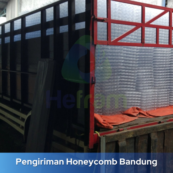 honeycomb ipal