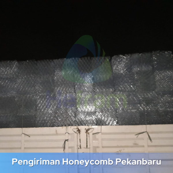 jual media sarang tawon