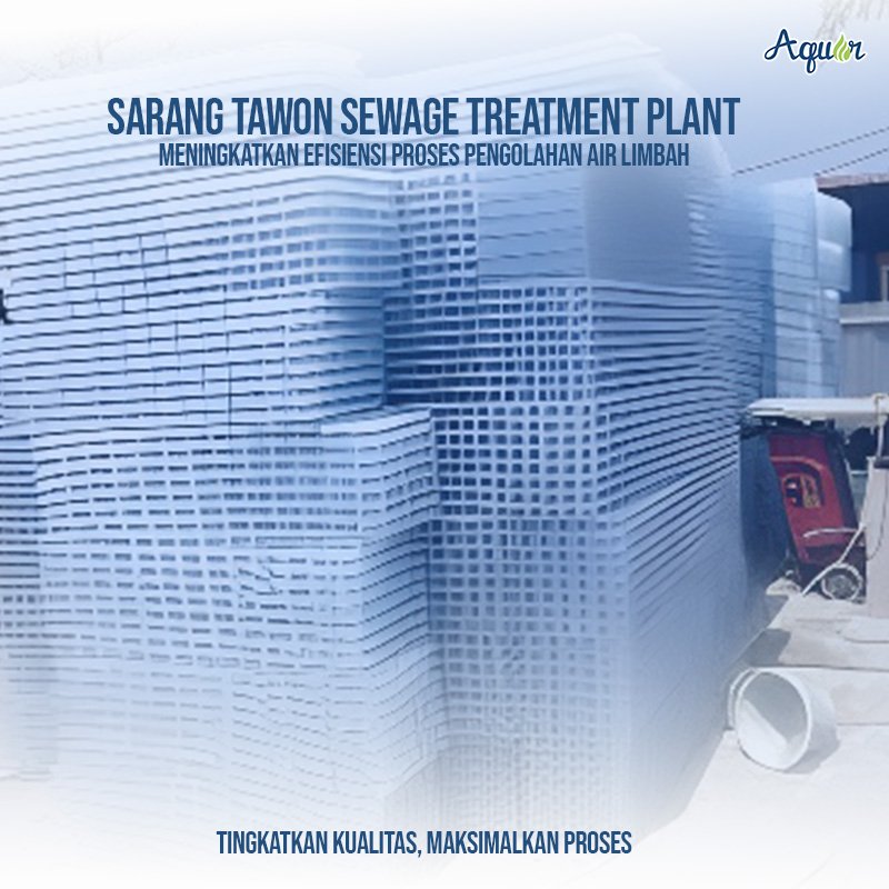 Sarang Tawon STP