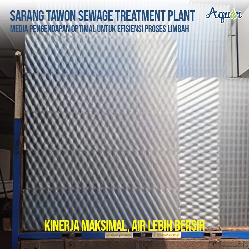 Sarang Tawon STP