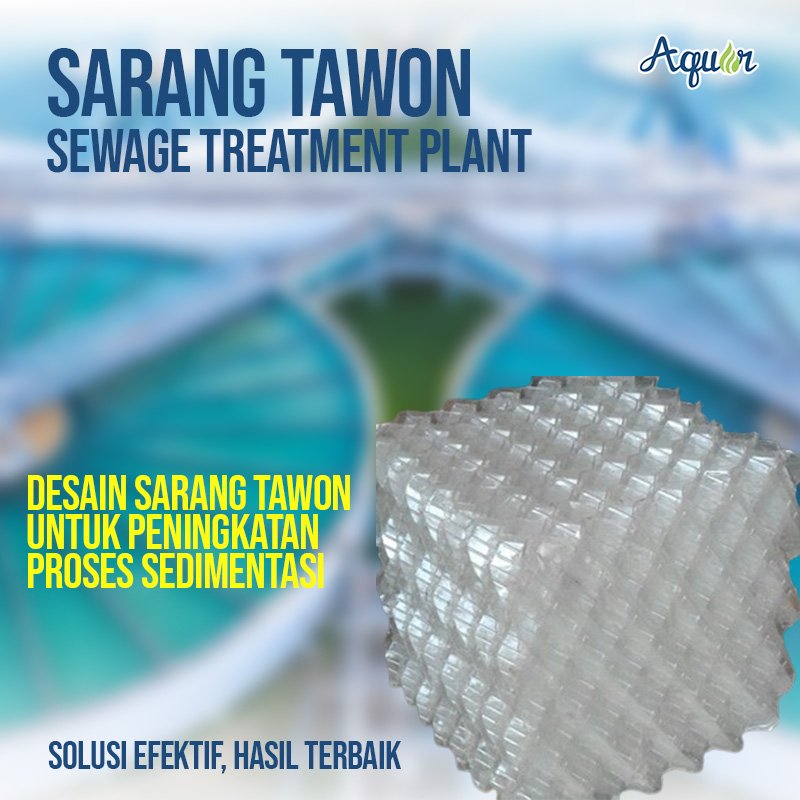 Sarang Tawon STP