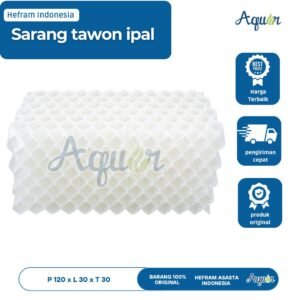 Harga Sarang Tawon Ipal