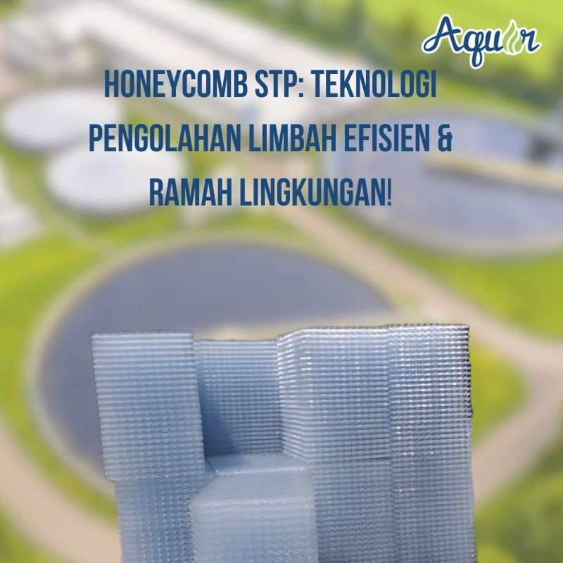 Honeycomb STP