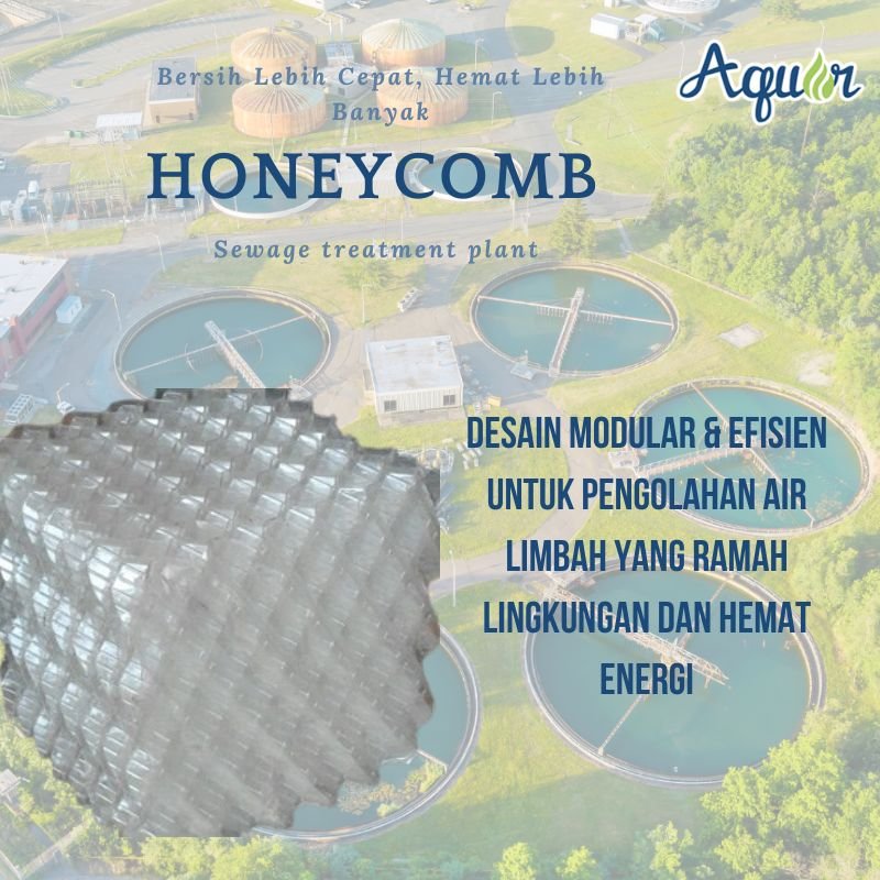 Honeycomb STP