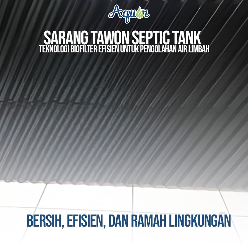 Sarang Tawon Septic tank