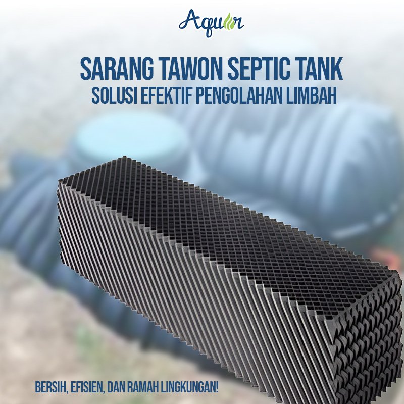 Sarang Tawon Septic tank