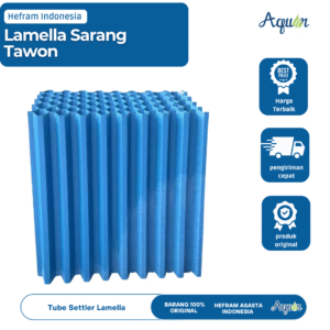 Lamella Sarang Tawon
